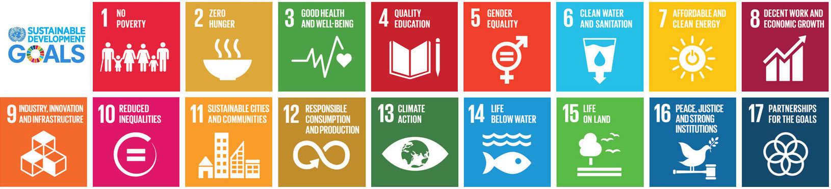 UN Sustainable Development Goals