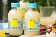 Yuzu Lactic Acid Bacteria Drink 宋柚乳酸菌風味飲品